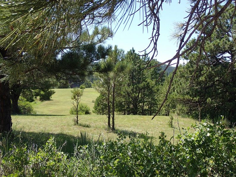549 Cold Brook Ave, Hot Springs, SD 57747
